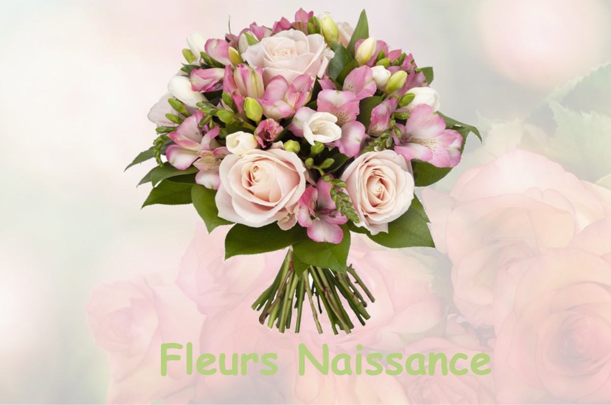 fleurs naissance LE-PLESSIS-TREVISE