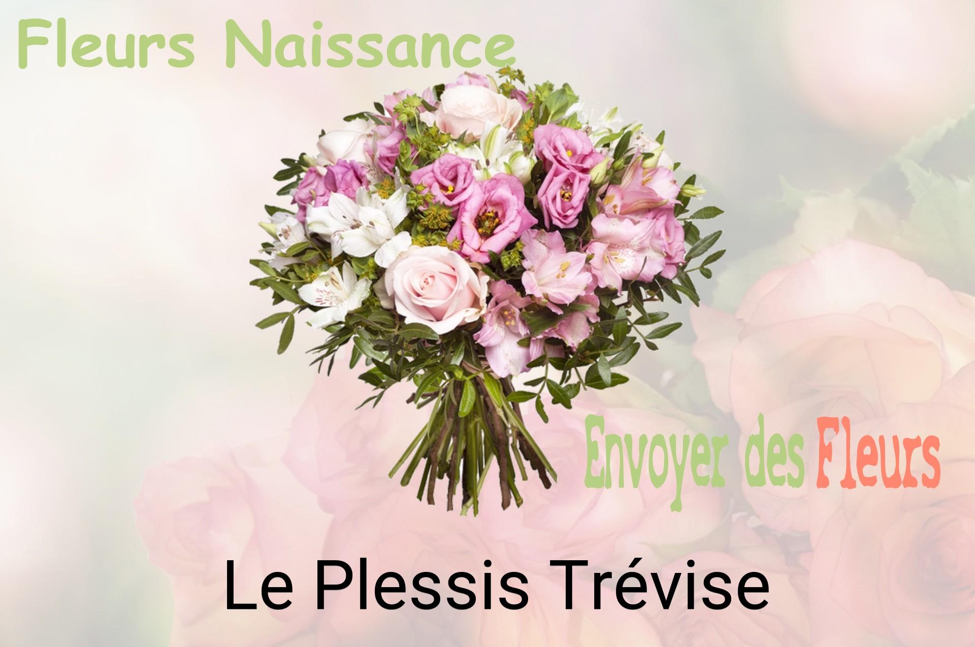 Bouquet de fleurs de naissance livré à Le Plessis-Trévise