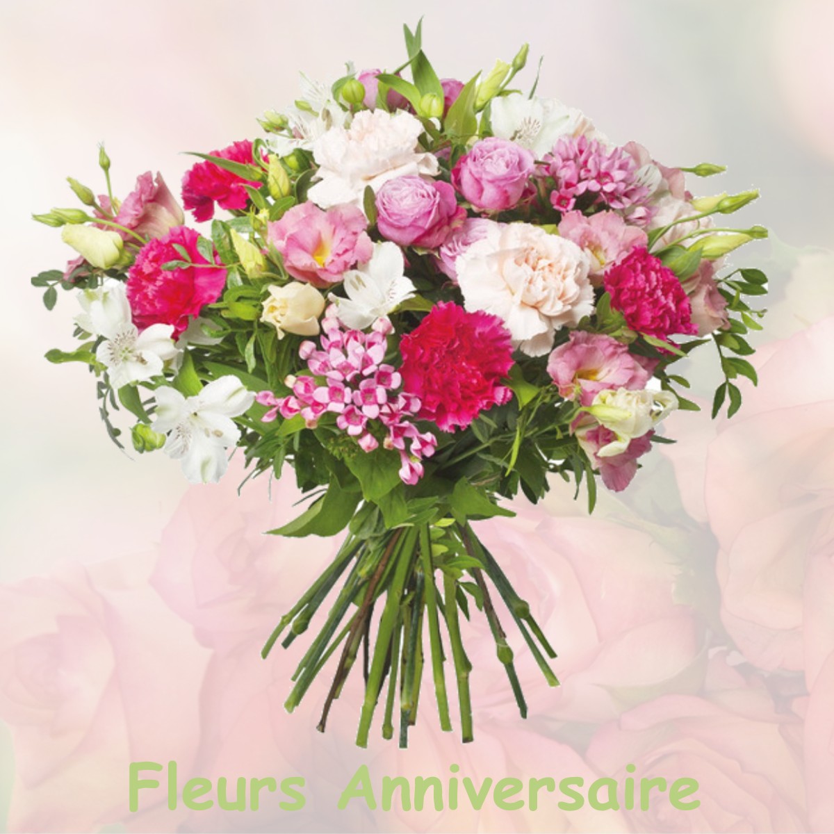 fleurs anniversaire LE-PLESSIS-TREVISE
