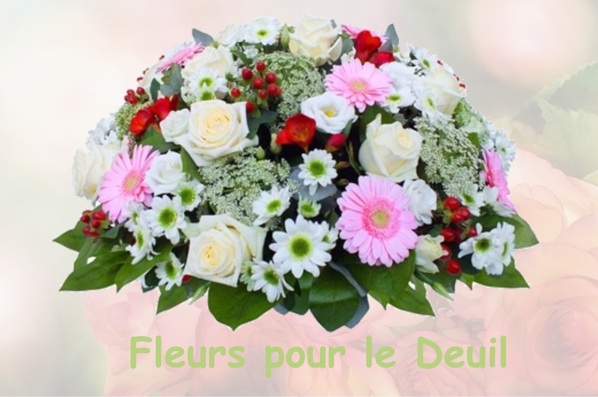 fleurs deuil LE-PLESSIS-TREVISE